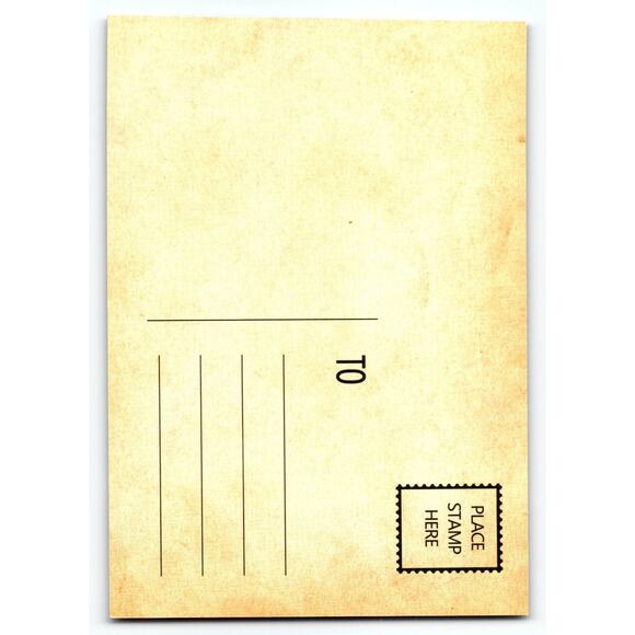 Vintage Halloween Postcard Skull Pumpkin Witch Hat Full Moon 5.5x4" - Picture 2 of 2